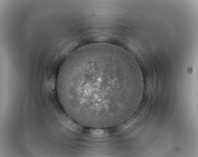 X0000091010230200708091608