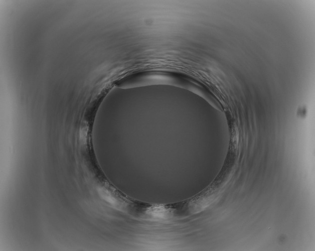 X0000091010231200708091608