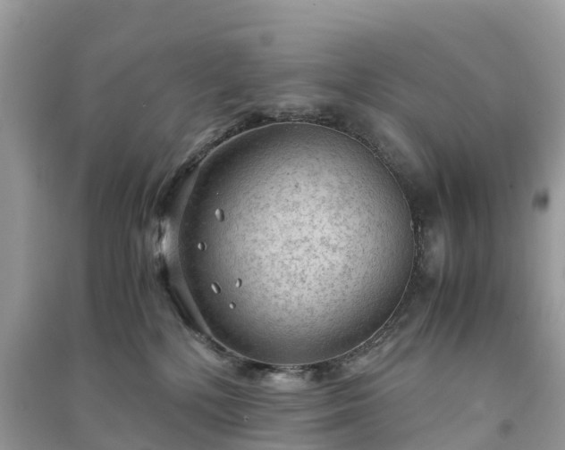X0000091010232200708091608