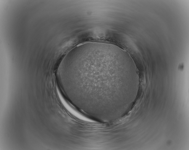 X0000091010233200708091608