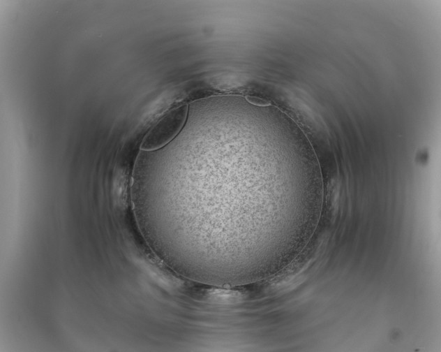 X0000091010234200708091608