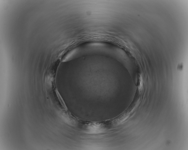 X0000091010235200708091608