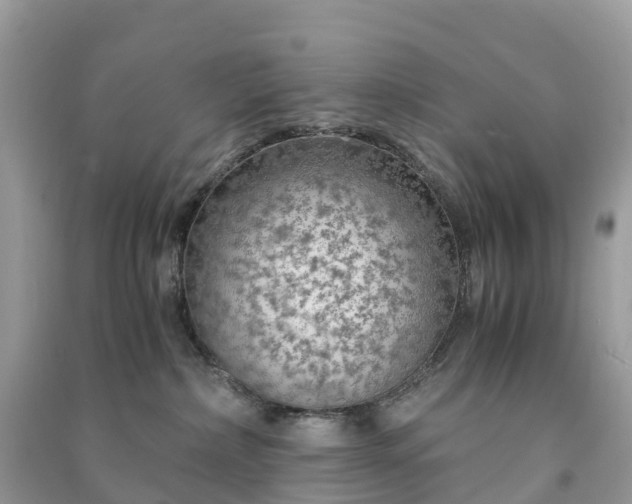 X0000091010236200708091608