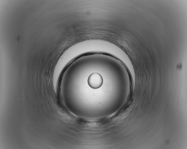 X0000091010237200708091608