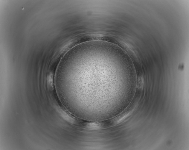 X0000091010238200708091608