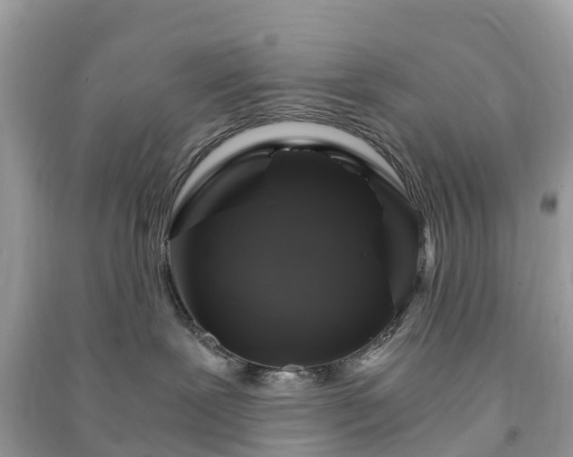 X0000091010239200708091608