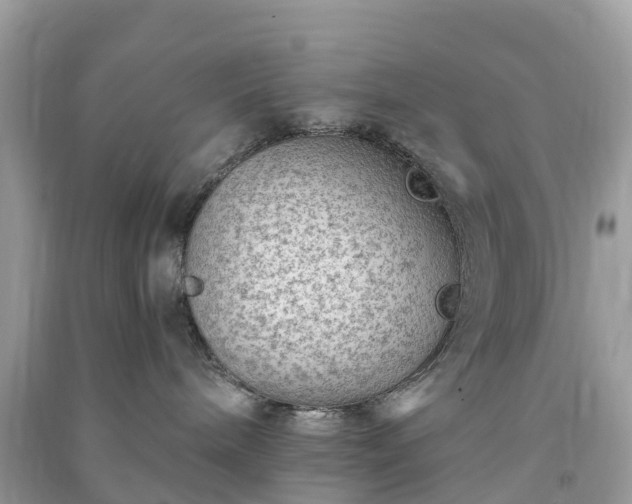 X0000091010240200708091608