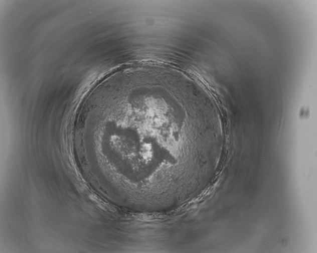 X0000091010241200708091607