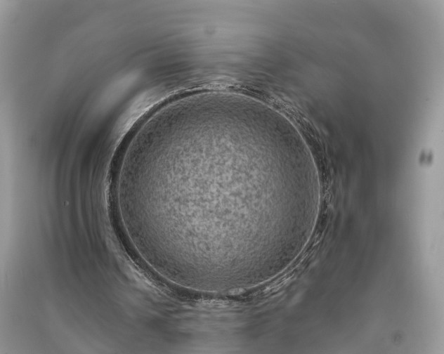 X0000091010242200708091607