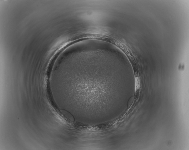 X0000091010243200708091607