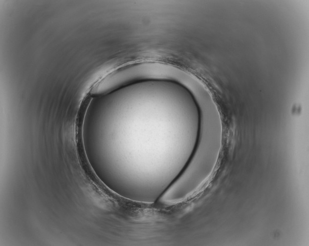 X0000091010244200708091607