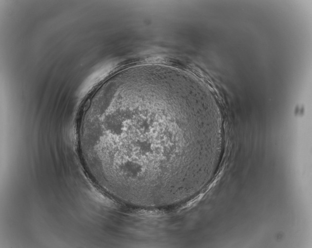 X0000091010245200708091607