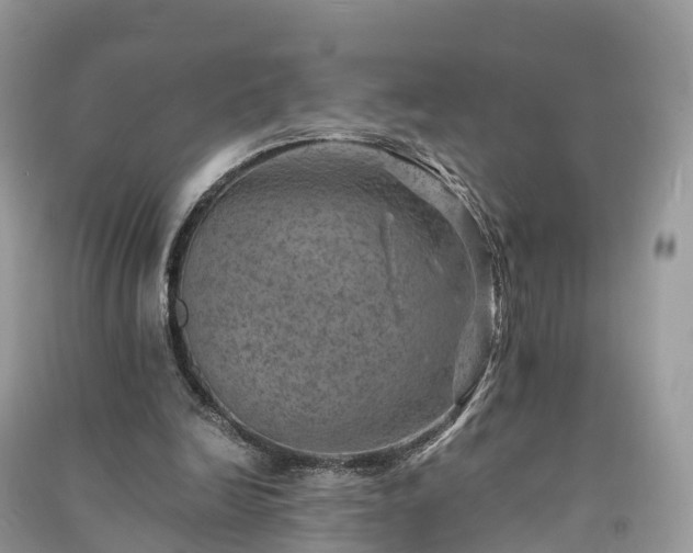 X0000091010246200708091607