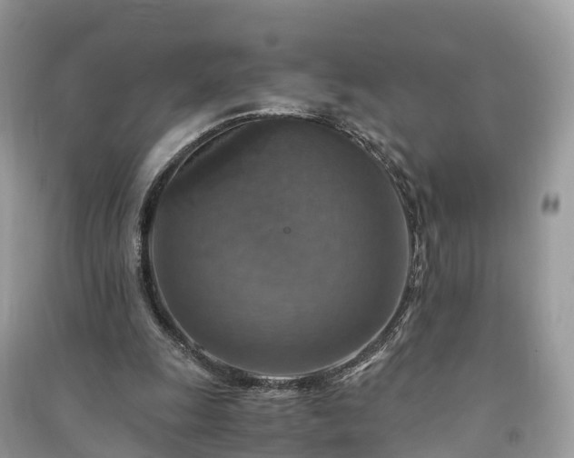 X0000091010247200708091607
