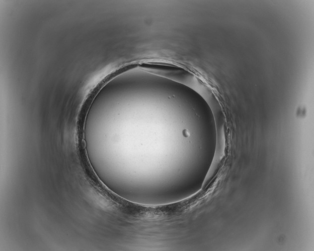 X0000091010248200708091607