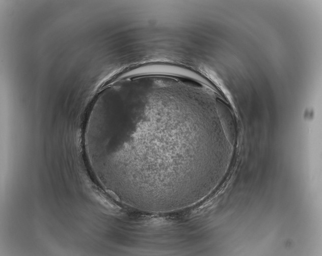 X0000091010249200708091607