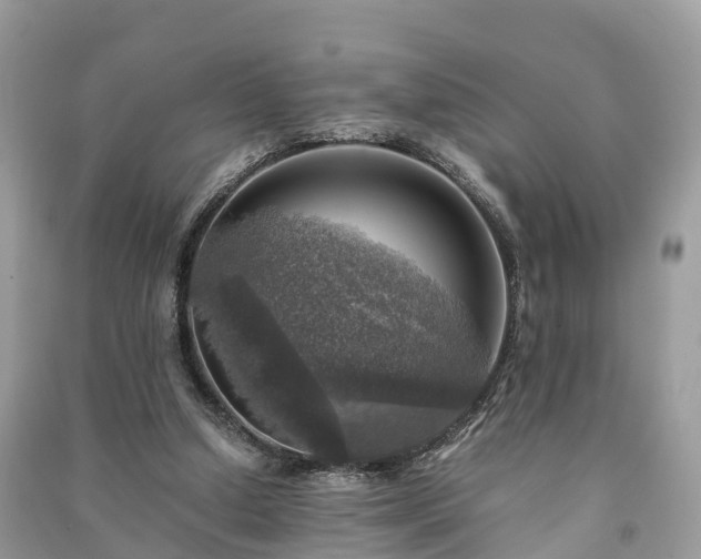 X0000091010250200708091607