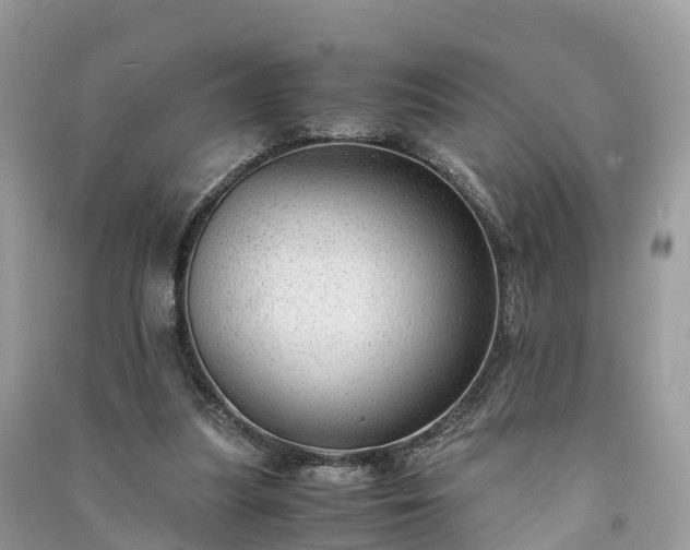 X0000091010251200708091607