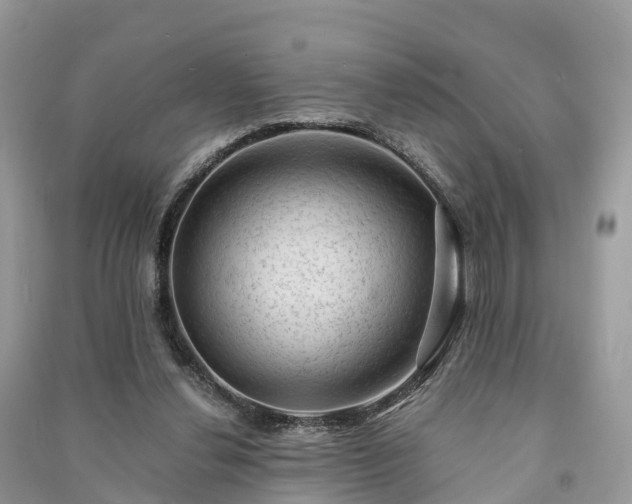 X0000091010252200708091607