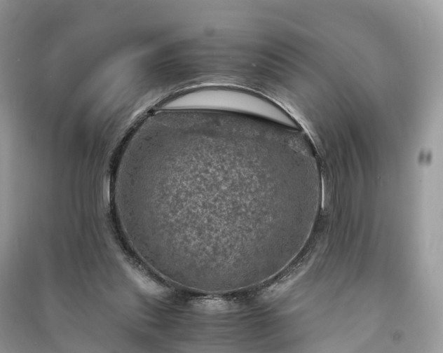 X0000091010253200708091607