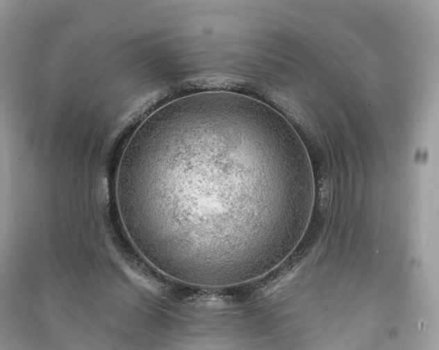 X0000091010254200708091607