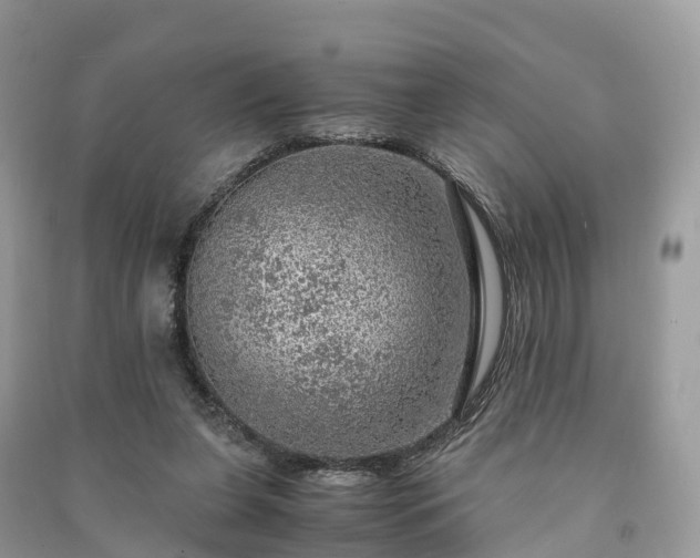 X0000091010255200708091607