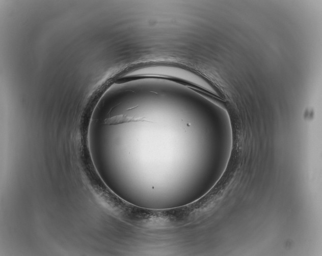 X0000091010256200708091607