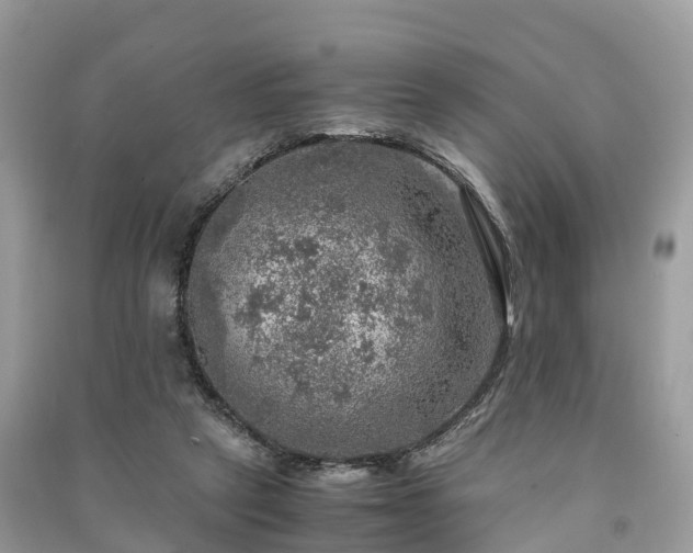 X0000091010257200708091607
