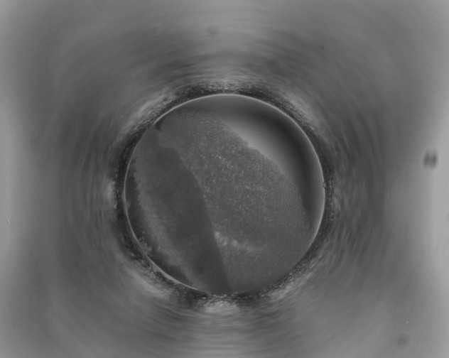 X0000091010258200708091607