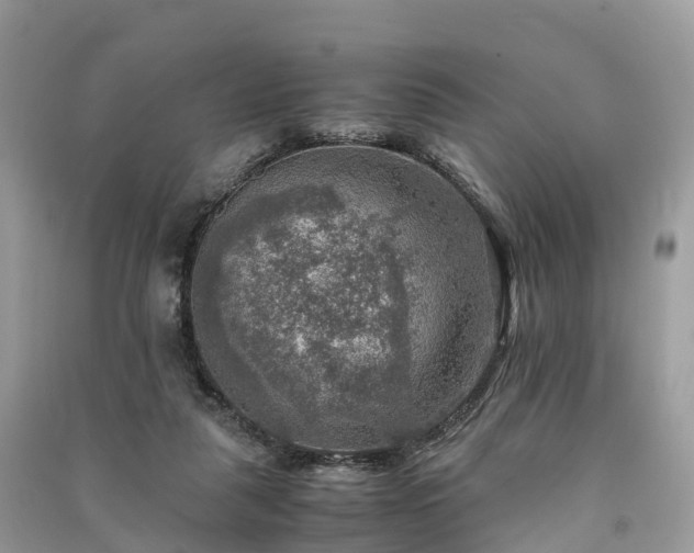 X0000091010259200708091607