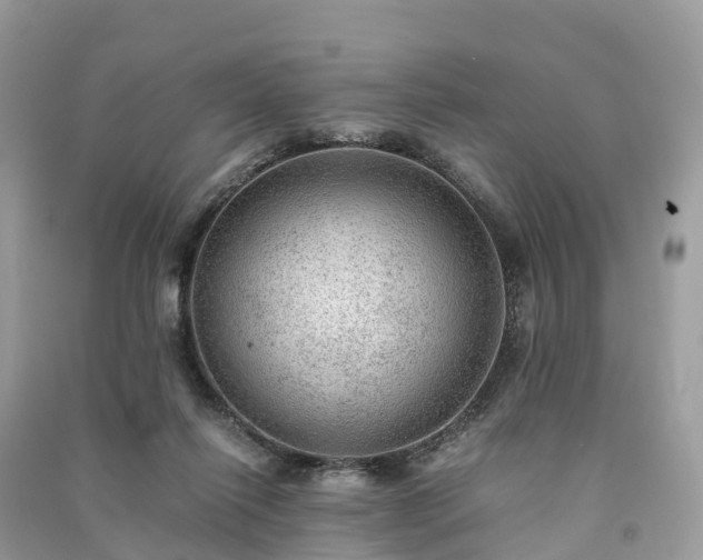 X0000091010262200708091607