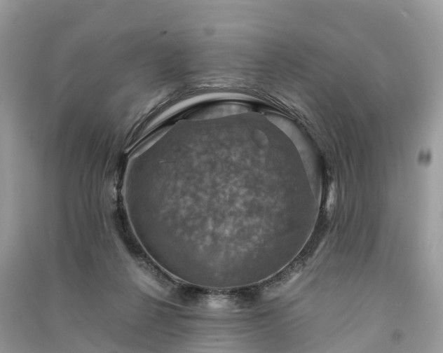 X0000091010264200708091608