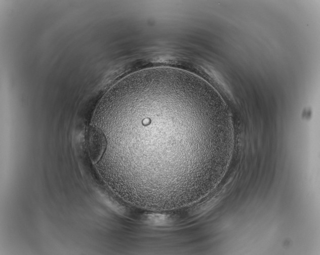 X0000091010265200708091608