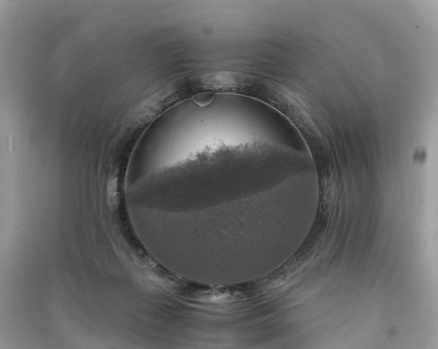 X0000091010267200708091608
