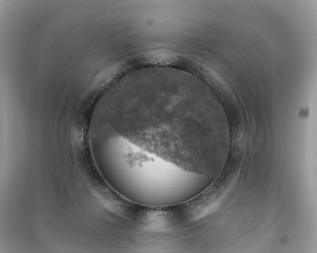 X0000091010268200708091608