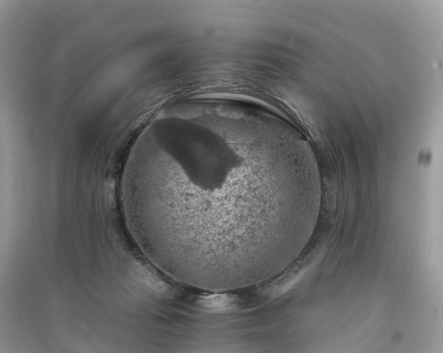 X0000091010269200708091608