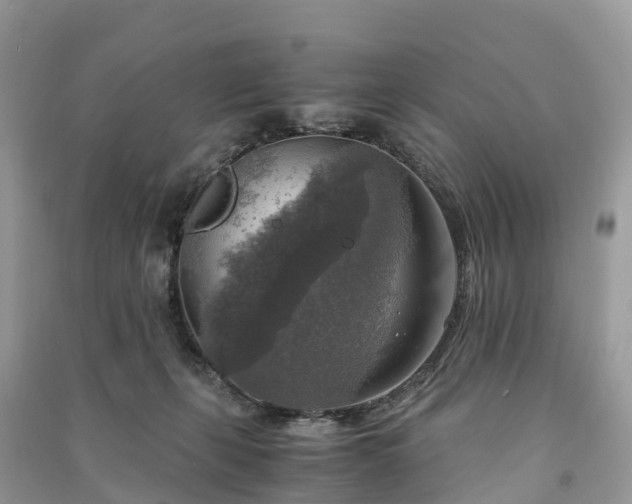 X0000091010271200708091608