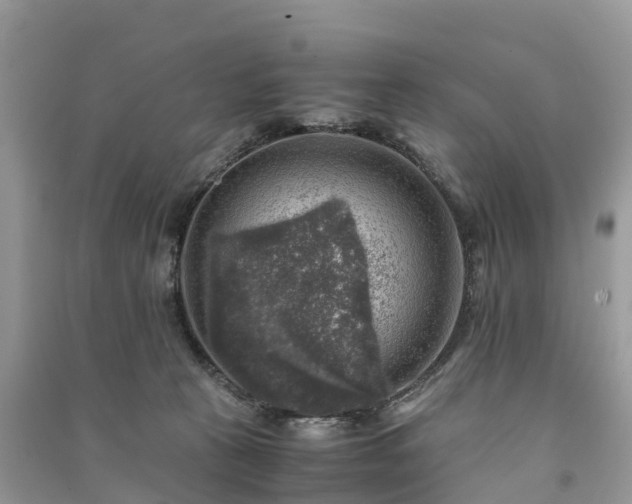 X0000091010273200708091608