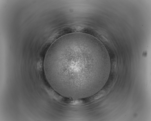 X0000091010274200708091608