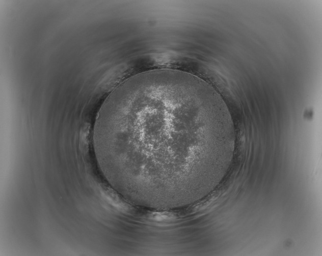 X0000091010275200708091608