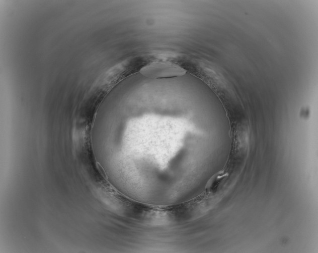 X0000091010276200708091608