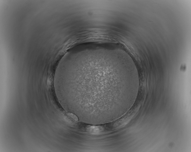 X0000091010277200708091608