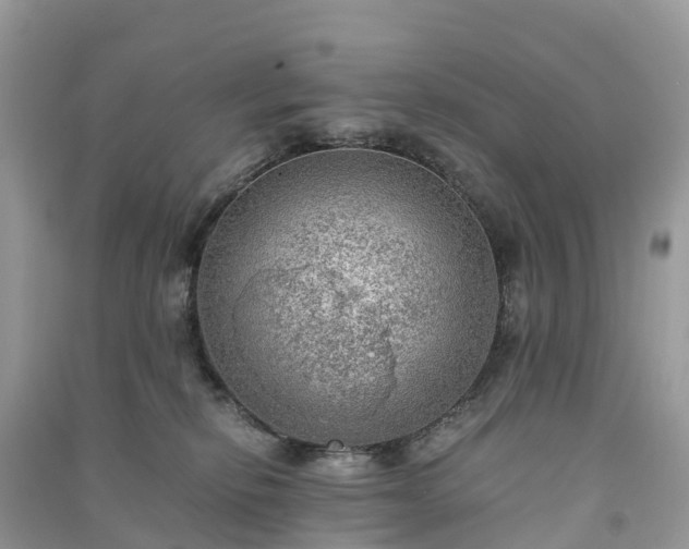 X0000091010278200708091608