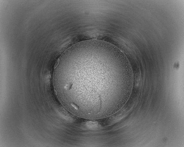 X0000091010279200708091608