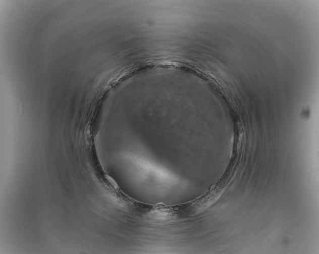 X0000091010280200708091608