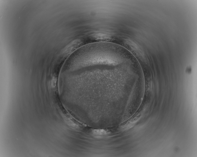 X0000091010281200708091608