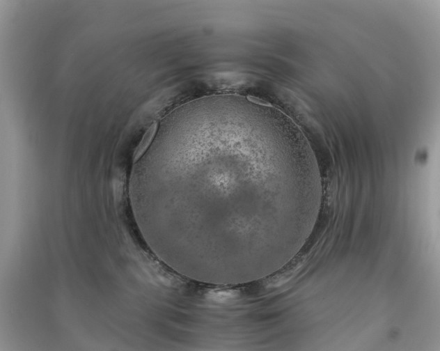 X0000091010283200708091608
