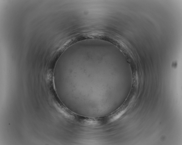 X0000091010284200708091608