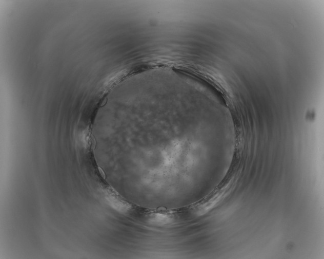 X0000091010285200708091608