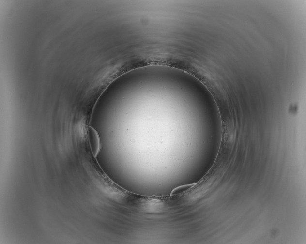 X0000091010287200708091608